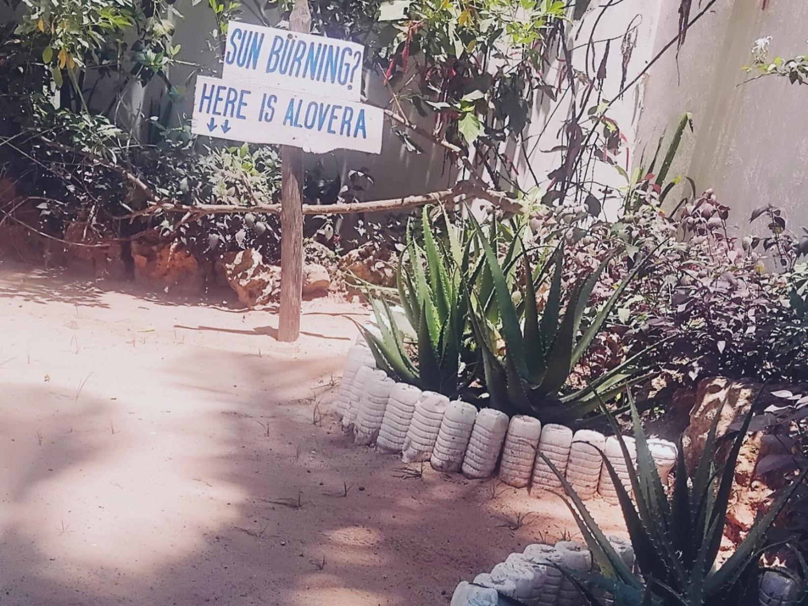 Hotel Maua Beach Kizimkazi Exteriér fotografie